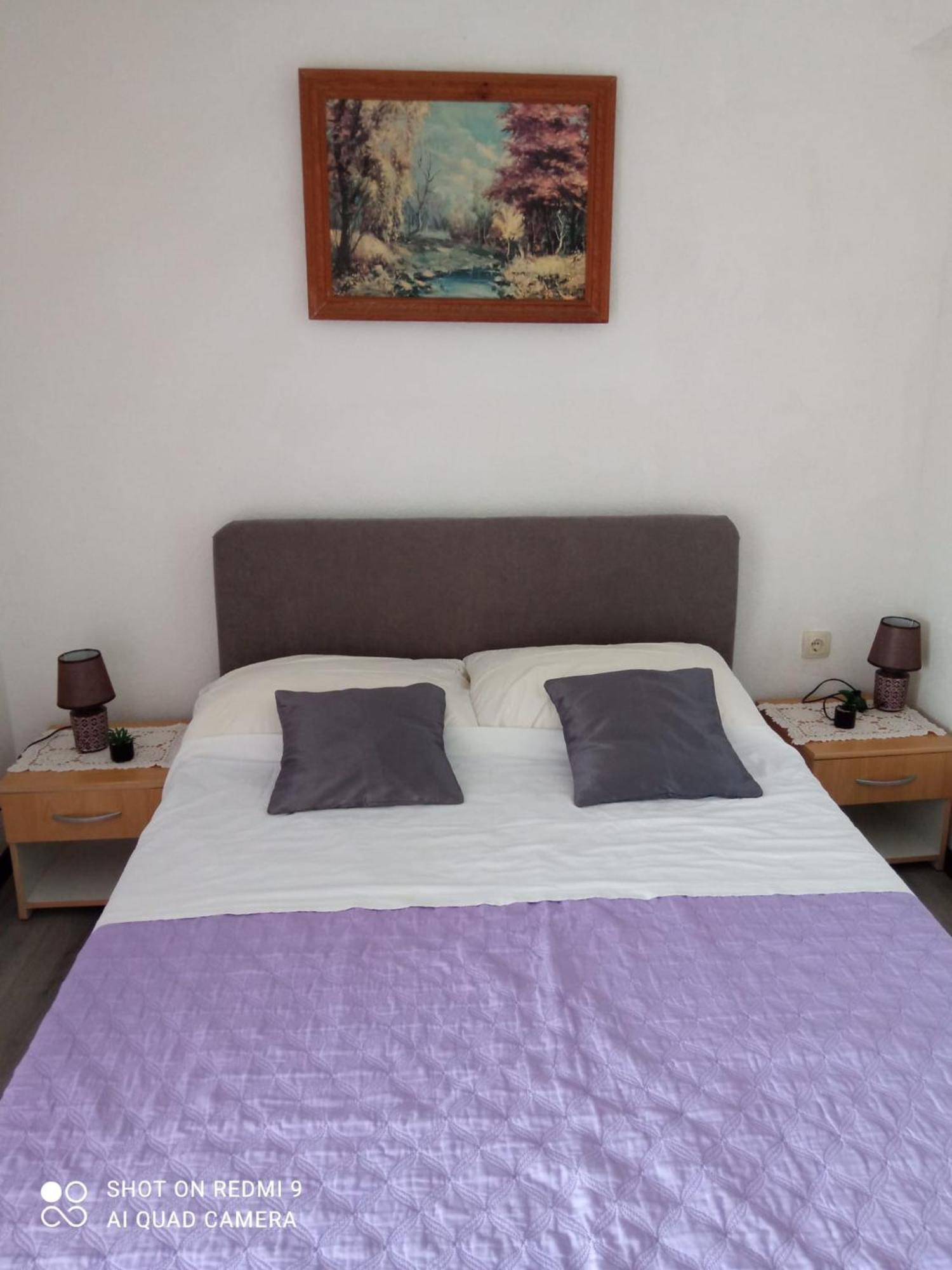 Apartments Vesna Ribarica Extérieur photo