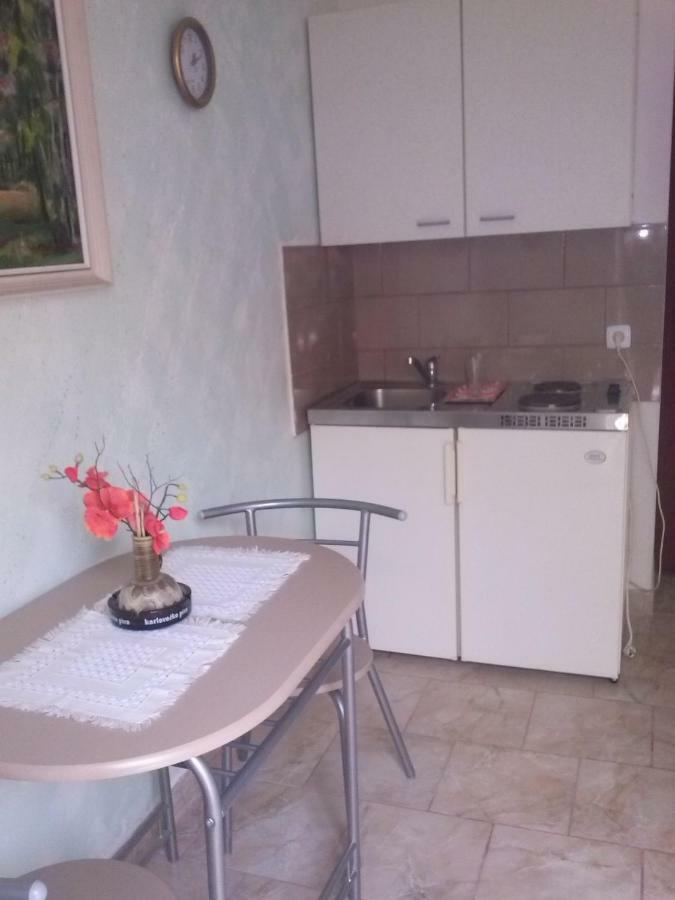 Apartments Vesna Ribarica Extérieur photo